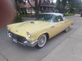  1957 Ford Thunderbird Inca Gold #3