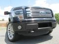 2013 F150 Limited SuperCrew 4x4 #2 2013 F150 Limited SuperCrew 4x4 #2