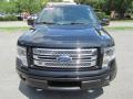 2013 F150 Limited SuperCrew 4x4 #5 2013 F150 Limited SuperCrew 4x4 #5