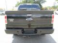 2013 F150 Limited SuperCrew 4x4 #9 2013 F150 Limited SuperCrew 4x4 #9