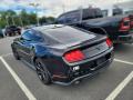 2019 Mustang EcoBoost Fastback #6