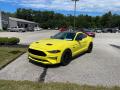 2021 Ford Mustang GT Fastback Grabber Yellow