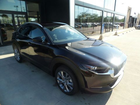 Jet Black Mica Mazda CX-30 S Premium AWD. Click to enlarge. Jet Black Mica Mazda CX-30 S Premium AWD. Click to enlarge.