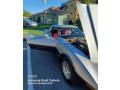 1978 Corvette Coupe #7