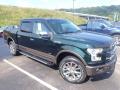 2015 F150 Lariat SuperCrew 4x4 #2 2015 F150 Lariat SuperCrew 4x4 #2