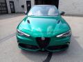  2022 Alfa Romeo Giulia Verde Montreal Tri-Coat #8