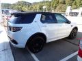 2018 Discovery Sport HSE #4