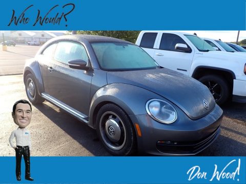 Platinum Gray Metallic Volkswagen Beetle 2.5L.  Click to enlarge.