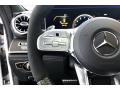  2019 Mercedes-Benz AMG GT 53 Steering Wheel #18