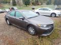2019 Camry Hybrid LE #2