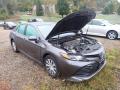 2019 Camry Hybrid LE #4
