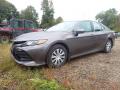 2019 Camry Hybrid LE #6