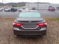 2019 Camry Hybrid LE #9