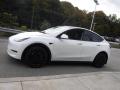  2021 Tesla Model Y Pearl White Multi-Coat #14