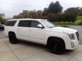  2018 Cadillac Escalade Crystal White Tricoat #6