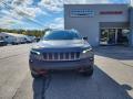 2022 Cherokee Trailhawk 4x4 #7