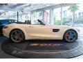 2019 AMG GT C Roadster #9
