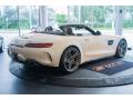 2019 AMG GT C Roadster #12