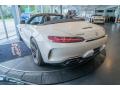 2019 AMG GT C Roadster #13