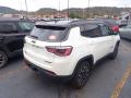 2018 Compass Trailhawk 4x4 #10 2018 Compass Trailhawk 4x4 #10