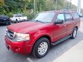 Front 3/4 View of 2014 Ford Expedition XLT 4x4 #7
