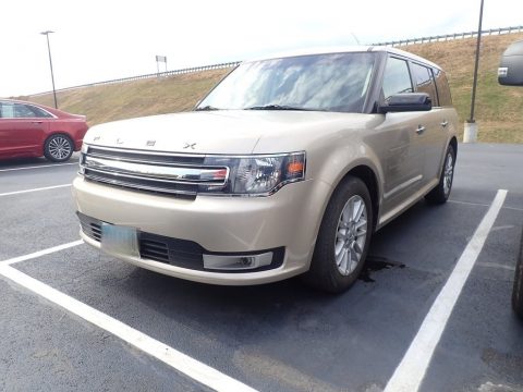 White Gold Ford Flex SEL.  Click to enlarge.
