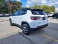 2022 Compass Trailhawk 4x4 #9 2022 Compass Trailhawk 4x4 #9