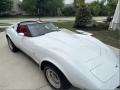 1979 Corvette Coupe #8