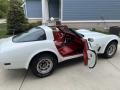 1979 Corvette Coupe #20