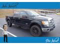 2013 F150 XLT SuperCrew 4x4 #1 2013 F150 XLT SuperCrew 4x4 #1