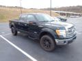 2013 F150 XLT SuperCrew 4x4 #2 2013 F150 XLT SuperCrew 4x4 #2