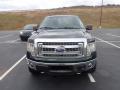 2013 F150 XLT SuperCrew 4x4 #3 2013 F150 XLT SuperCrew 4x4 #3