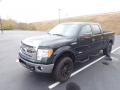 2013 F150 XLT SuperCrew 4x4 #7 2013 F150 XLT SuperCrew 4x4 #7