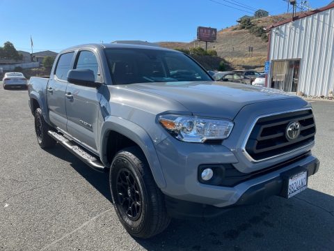 Cement Toyota Tacoma SR5 Double Cab.  Click to enlarge.