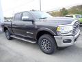 2022 3500 Limited Longhorn Crew Cab 4x4 #7