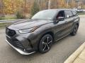 Front 3/4 View of 2022 Toyota Highlander XSE AWD #7