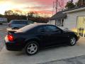 2003 Mustang V6 Coupe #5