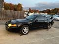 2003 Mustang V6 Coupe #11