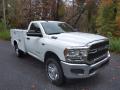 Front 3/4 View of 2022 Ram 2500 Tradesman Regular Cab Chassis 4x4 #4
