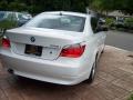 2007 5 Series 530i Sedan #12