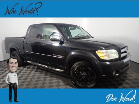 Black Toyota Tundra SR5 Double Cab.  Click to enlarge.