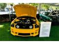 2005 Mustang Roush Stage 3 Coupe #6