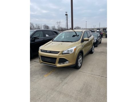 Karat Gold Ford Escape SE 1.6L EcoBoost 4WD.  Click to enlarge.