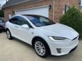 Front 3/4 View of 2017 Tesla Model X 75D #1