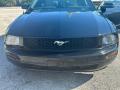 2005 Mustang V6 Deluxe Coupe #3