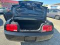 2005 Mustang V6 Deluxe Coupe #8