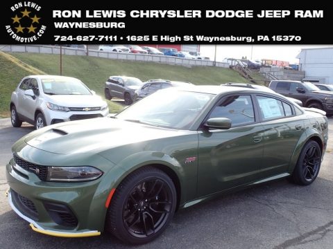 F8 Green Dodge Charger Scat Pack Widebody.  Click to enlarge.