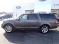  2016 Ford Expedition Magnetic Metallic #2