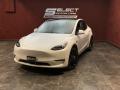 2022 Tesla Model Y Performance AWD Pearl White Multi-Coat