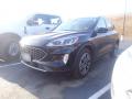 2020 Escape SEL 4WD #6 2020 Escape SEL 4WD #6